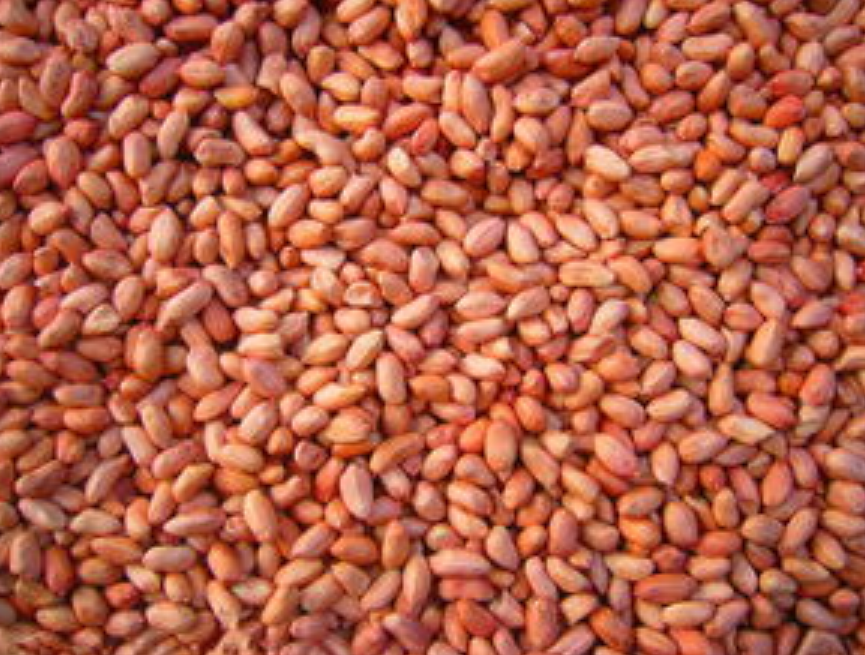 圖片4.png 圖片4.png