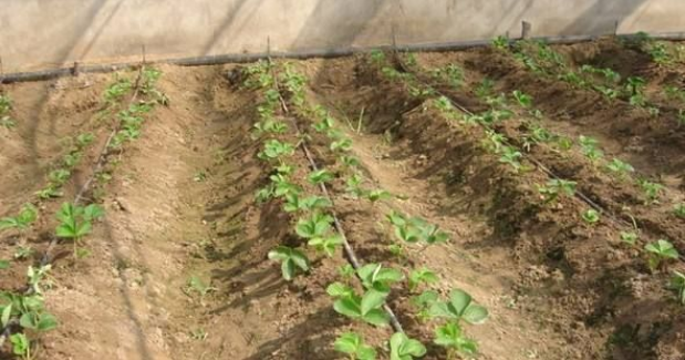 微信圖片_20230311154443.png 微信圖片_20230311154443.png